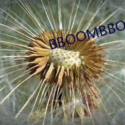 BBOOMBBOOM现(現)chang版