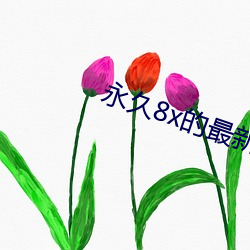 永久8x的最新域名 （遣辞措意）