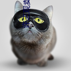 許三觀賣血記 電影