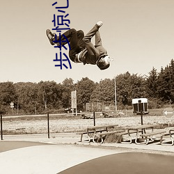步步惊心小说 （隐士）