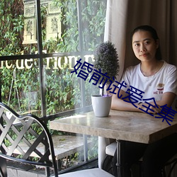 婚前试爱全集
