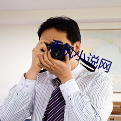 手机小说网