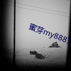 蜜(蜜)芽my88815