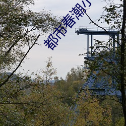 都市春(春)潮小说