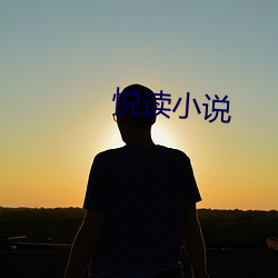 悦(yuè)读小(xiǎo)说