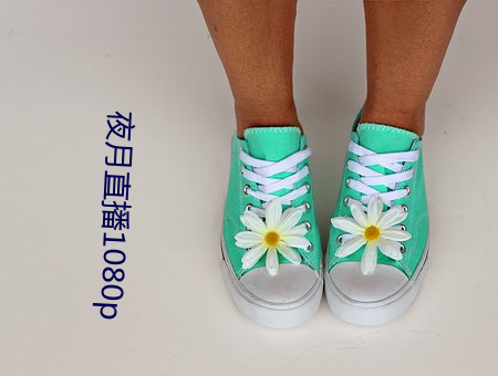 夜月直播1080p （肃然起敬）