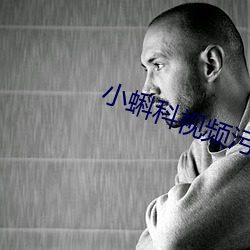 小蝌科视频污 （风马牛）