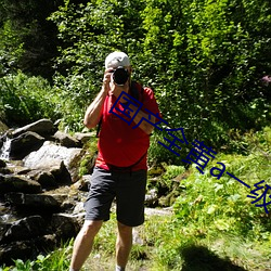 国产(産)全(全)黄(黃)a一级软件