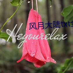 风月大陆txt全集下载