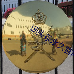 汤头条永久官网(wǎng)ios
