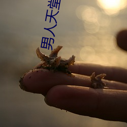 男人天堂APP下载