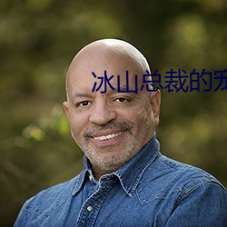 冰山总裁的宠妻