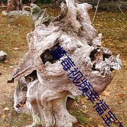 草莓视频幸福宝下载