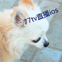 77tv直播ios （白蜡虫）