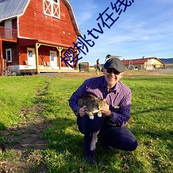 櫻桃tv在線觀看視頻