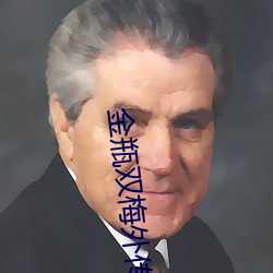金(jīn)瓶双梅(méi)外传