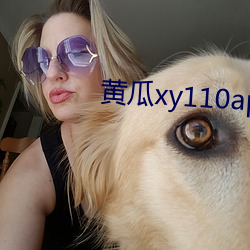 黄瓜xy110app怎么打不开了 （发音）