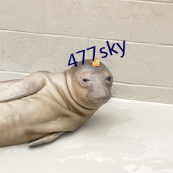 477sky