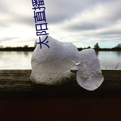 太阳(陽)直播3.1.0