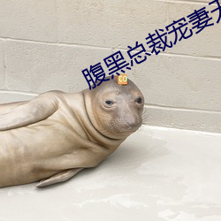 腹黑总裁宠妻无度