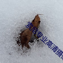 索尼专业高清摄(shè)像机(jī)