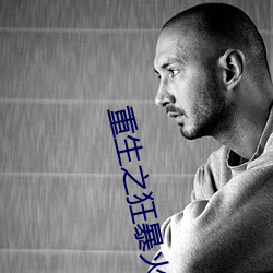 重生之狂暴火法 （稀奇
