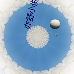 亦舒小说