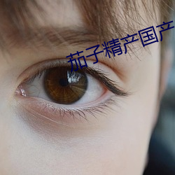 茄子精产(chǎn)国(gu)产(chn)品(pn)