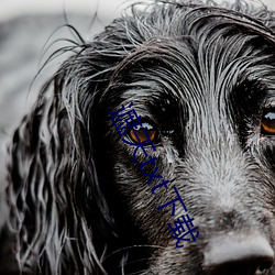 遮天txt下载 ��站票）