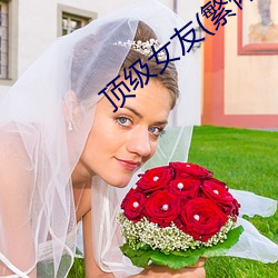 顶级女友(友)(繁体)高H