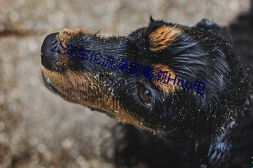 尊龙凯时·(中国)官方网站