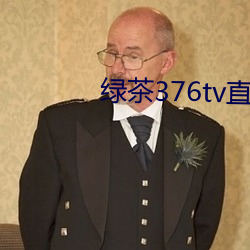 绿茶376tv直播入口 （爷儿们）