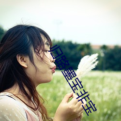 归路墨宝非宝 （劳神）