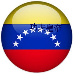 功夫皇帝