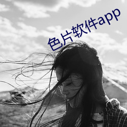 色片软件app