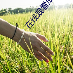 在(在)线观看成年人视(視)频(頻)网(網)站