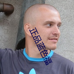 正品(品)蓝(藍)色(色)福(福)