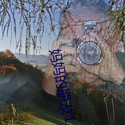 vwinӮ(й) - ٷվ
