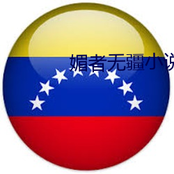 媚者无疆小说