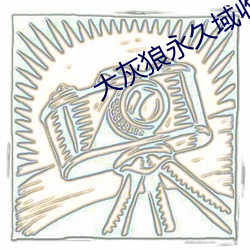 大灰狼永久域收藏地址