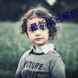 最新域名解析