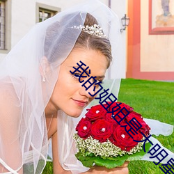 我的(de)姐姐是大明星