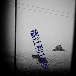 福社利18岁