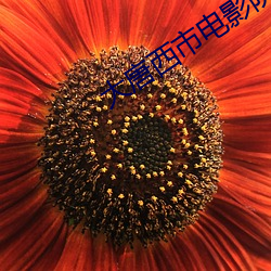 大唐西市电影院