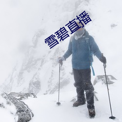 雪碧直播