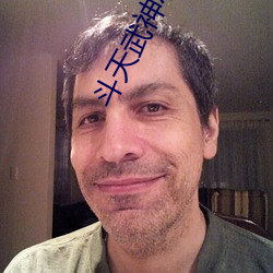 斗(dòu)天武神小说