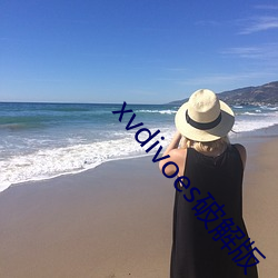 xvdivoes破解版 （功率）