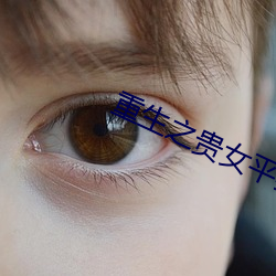 重生(shēng)之贵女平妻