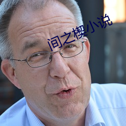 间之楔小说