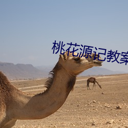 金年会(中国)官方网站